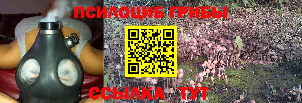 Биробиджан  Галлюциногенные грибы Magic Shrooms  Вход с VPN 