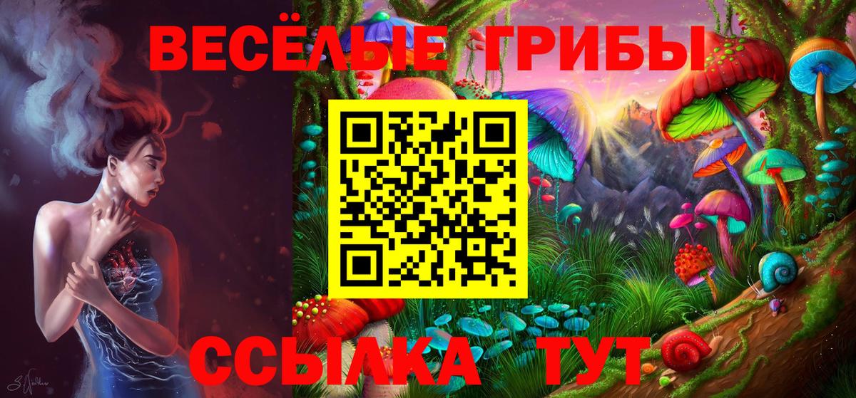 Псилоцибиновые грибы GOLDEN TEACHER Биробиджан